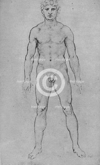 'A Nude Man seen from the Front', c1480 (1945). Artist: Leonardo da Vinci.