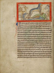 A Panther; Northumberland Bestiary, about 1250-1260. Creator: Unknown