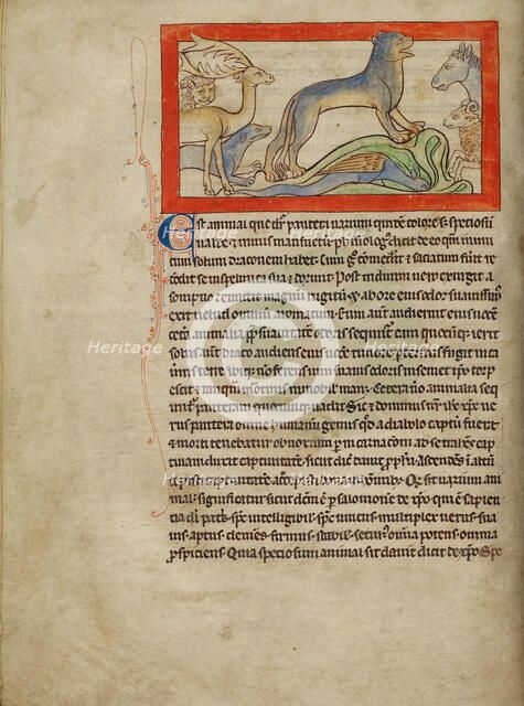 A Panther; Northumberland Bestiary, about 1250-1260. Creator: Unknown.