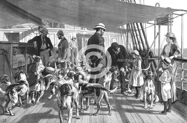 ''A Pack of Foxhounds passing through the Red Sea on their way to India--Early morning exercise', 18 Creator: Unknown.