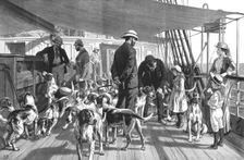 'A Pack of Foxhounds passing through the Red Sea on their way to India--Early morning exercise 18 Creator: Unknown