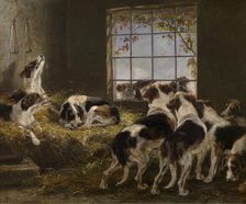 A Pack of Hounds, 1871. Creator: V Witte