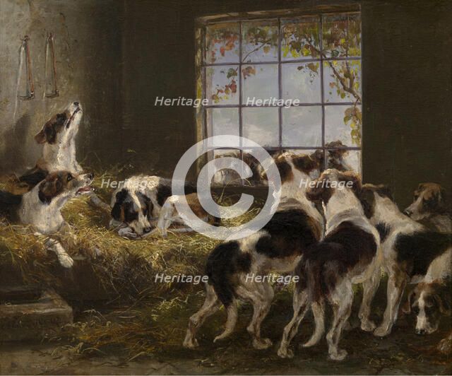 A Pack of Hounds, 1871. Creator: V Witte.