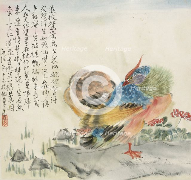 A pair of Mandarin ducks, 1857. Artist: Jin Yuan.