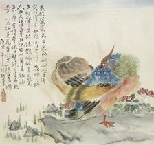 A pair of Mandarin ducks, 1857. Artist: Jin Yuan