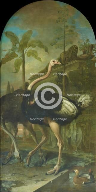 A pair of ostriches, a sarcophagus in the background, 1723. Creator: Ignaz Heinitz von Heinzenthal.