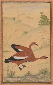 A pair of Brahminy ducks, c. 1595; borders added probably 1800s. Creator: Unknown