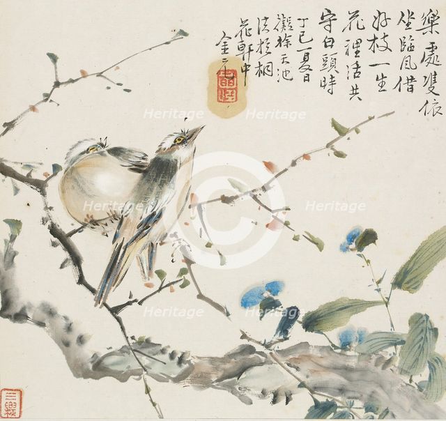 A pair of Chinese Bulbul birds, 1857. Artist: Jin Yuan.