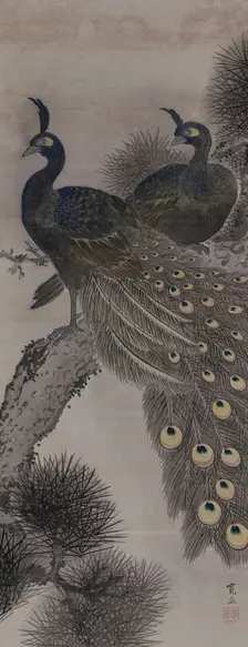 A pair of peacocks on a pine tree, 19th century. Creator: Kanpo; Araki (1831-1915)