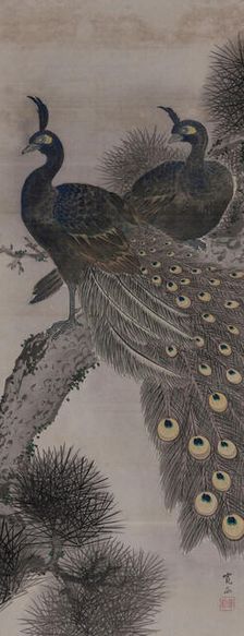 A pair of peacocks on a pine tree, 19th century. Creator: Kanpo; Araki (1831-1915)