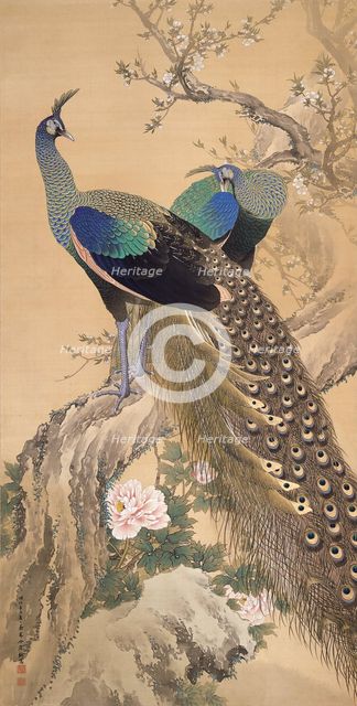 A Pair of Peacocks in Spring, 1901. Creator: Keinen, Imao (1845-1924).