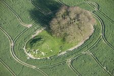 A pair of round barrows on Avebury Down, Wiltshire, 2015. Creator: Historic England