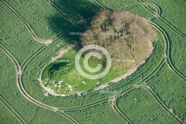 A pair of round barrows on Avebury Down, Wiltshire, 2015. Creator: Historic England.