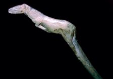 A paleolithic carved bone horse