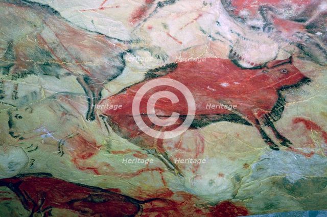 A paleolithic cave painting of Aurochs.