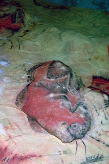 A paleolithic cave painting of an Auroch