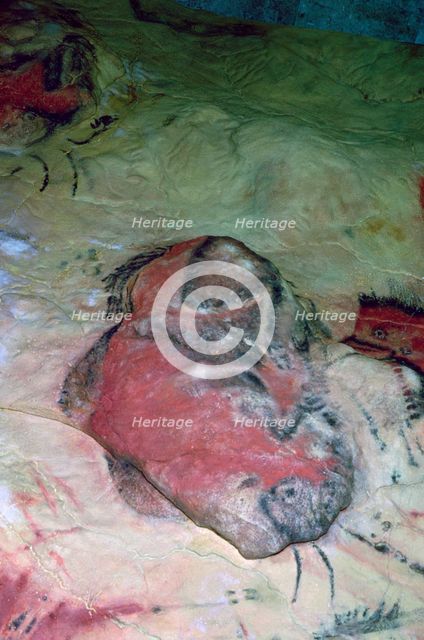 A paleolithic cave painting of an Auroch.