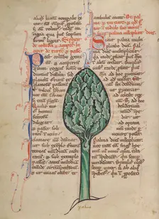 A Palm Tree; Bestiary, about 1270. Creator: Unknown