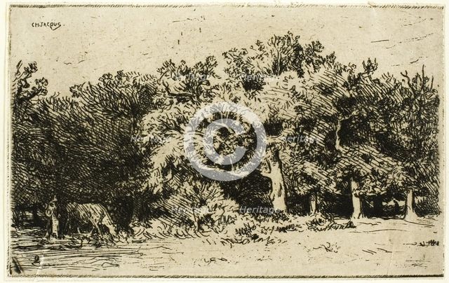 A Part of the Forest of Fontainebleau, 1849. Creator: Charles Emile Jacque.
