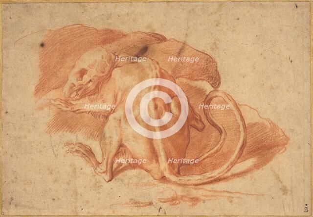 A Partially Skinned Rat, late 16th or early 17th century. Creator: Unknown.