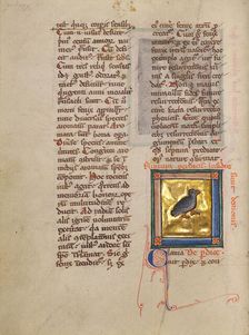 A Partridge; Bestiary, about 1270. Creator: Unknown