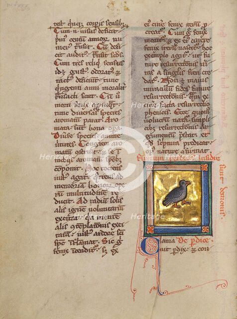 A Partridge; Bestiary, about 1270. Creator: Unknown.