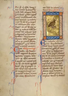A Partridge; Bestiary, about 1270. Creator: Unknown