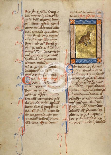 A Partridge; Bestiary, about 1270. Creator: Unknown.