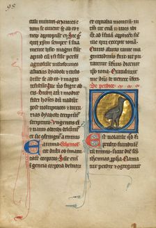 A Partridge; De Natura Avium; De Pastoribus et Ovibus, 1277 or after. Creator: Unknown