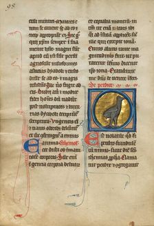 A Partridge; De Natura Avium; De Pastoribus et Ovibus, 1277 or after. Creator: Unknown