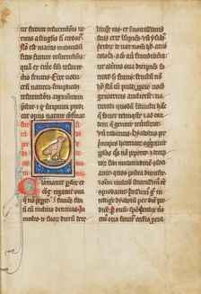 A Partridge; De Natura Avium; De Pastoribus et Ovibus; Bestiarium, 1277 or after. Creator: Unknown