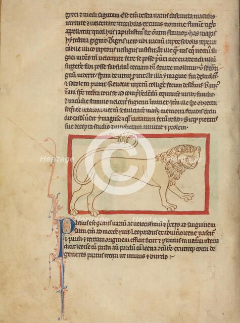 A Pard; Northumberland Bestiary, about 1250-1260. Creator: Unknown.