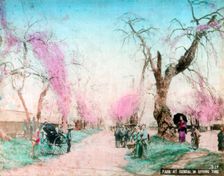 A park in springtime, Sendai, Miyagi Prefecture, Japan