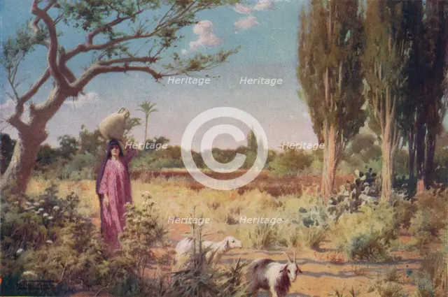 'A Pastoral near Damietta', c1880, (1904). Artist: Robert George Talbot Kelly.