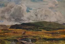 A Path over the Fields 1881. Artist: Thomas Collier