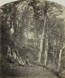 A Path Through a Wood, c. 1860. Creator: Major Francis Gresley (British)