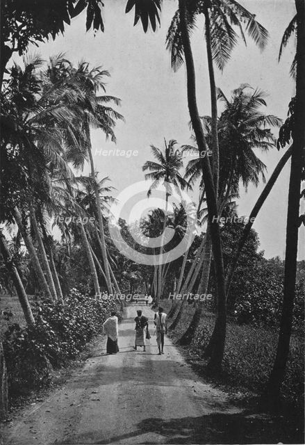 'A Path Through Paddy Fields', c1890, (1910). Artist: Alfred William Amandus Plate.