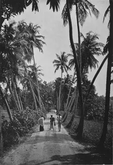 A Path Through Paddy Fields c1890, (1910). Artist: Alfred William Amandus Plate