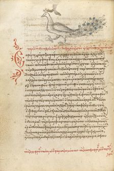 A Peacock, 1510-1520. Creator: Unknown