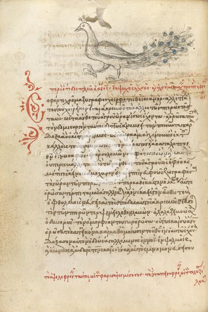 A Peacock, 1510-1520. Creator: Unknown.