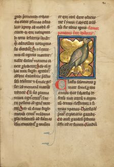 A Peacock; De Natura Avium; De Pastoribus et Ovibus; Bestiarium, 1277 or after. Creator: Unknown