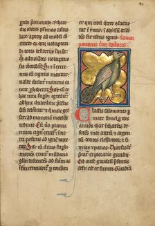 A Peacock; De Natura Avium; De Pastoribus et Ovibus; Bestiarium, 1277 or after. Creator: Unknown