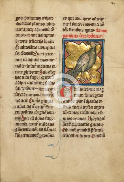 A Peacock; De Natura Avium; De Pastoribus et Ovibus; Bestiarium, 1277 or after. Creator: Unknown.
