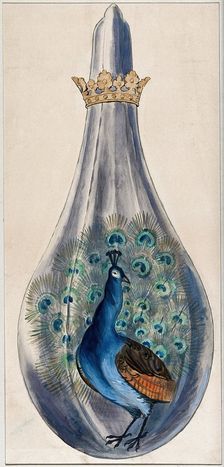 A peacock in a crowned alchemical flask; representing the stage in the alchemical..., 1900-1909. Creator: Edith Annie Ibbs