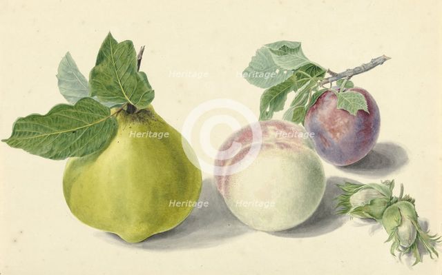A pear, peach, plum and nuts, 1818-1853. Creator: Elisabeth Geertruida van de Kasteele.
