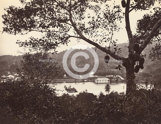 A Peep from Upper Lake Road showing Temple and Island with Park - fruit tree in foreground, c1865. Creator: Samuel Bourne.