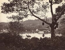 A Peep from Upper Lake Road showing Temple and Island with Park - fruit tree in foreground, c1865. Creator: Samuel Bourne
