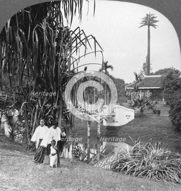 A peep into the tropical gardens of Rangoon, Burma, 1908. Artist: Stereo Travel Co