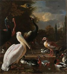 A Pelican and other Birds near a Pool, Known as The Floating Feather c.1680. Creator: Melchior d'Hondecoeter