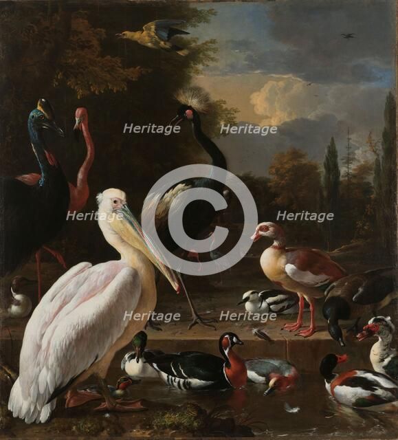 A Pelican and other Birds near a Pool, Known as ‘The Floating Feather’, c.1680. Creator: Melchior d'Hondecoeter.